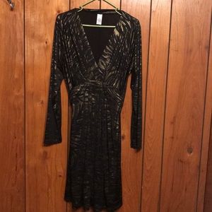 Long sleeve shear dress